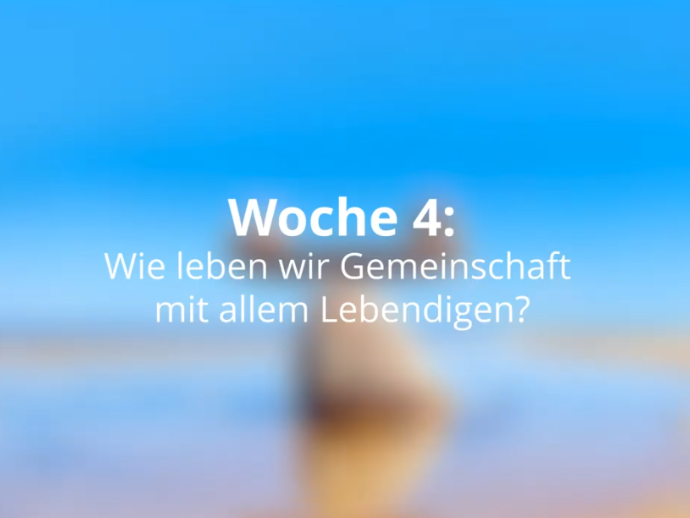 Ein Beispiel aus der Praxis: Das Projekt Querbeet in Aachen.